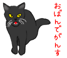 Dialect Sticker in Iwate-ken 3 sticker #13635102