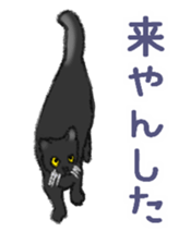 Dialect Sticker in Iwate-ken 3 sticker #13635109