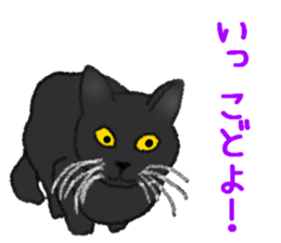 Dialect Sticker in Iwate-ken 3 sticker #13635121