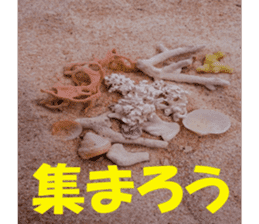 Okinawa news sticker #13635529