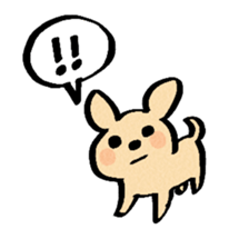 Chihuahua of haru sticker #13636963