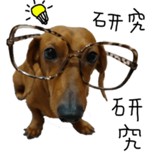 7 ne Queen Wanwan-real dog sticker #13637403