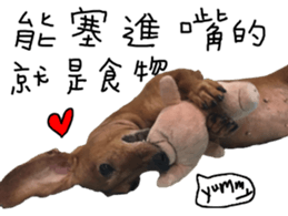 7 ne Queen Wanwan-real dog sticker #13637413