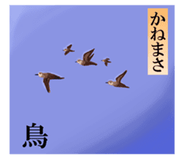 A word from"The 100 Poems by 100 Poets"1 sticker #13638041