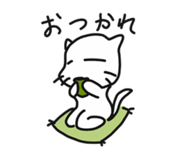 Sticker of white cat "Shiromii" sticker #13638406