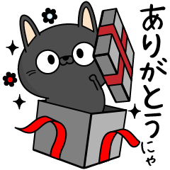 Black cat of everyday conversation