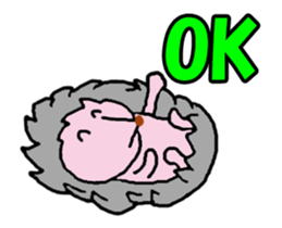 Video? OK only of Sticker (animal hen) 2 sticker #13639279