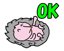 Video? OK only of Sticker (animal hen) 2 sticker #13639279