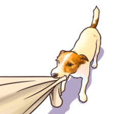 A lot of Jackrussellterrier3 sticker #13639554