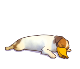 A lot of Jackrussellterrier3 sticker #13639556