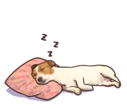 A lot of Jackrussellterrier3 sticker #13639560