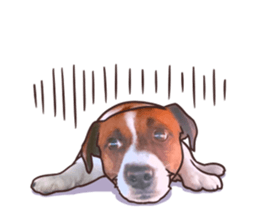 A lot of Jackrussellterrier3 sticker #13639563