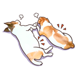 A lot of Jackrussellterrier3 sticker #13639564