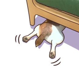 A lot of Jackrussellterrier3 sticker #13639569