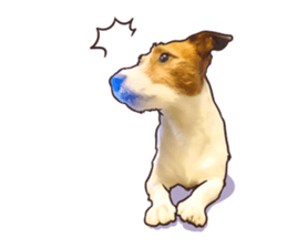 A lot of Jackrussellterrier3 sticker #13639573