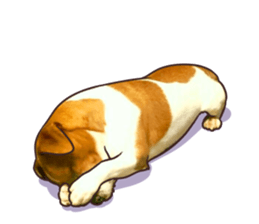 A lot of Jackrussellterrier3 sticker #13639574