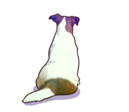A lot of Jackrussellterrier3 sticker #13639577