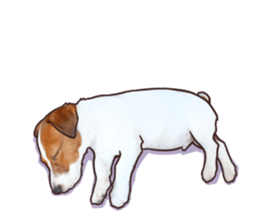 A lot of Jackrussellterrier3 sticker #13639580