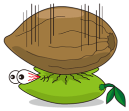 Coconut Man sticker #13642811