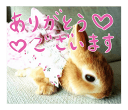 USAKO THE RABBIT Photo sticker #13642872