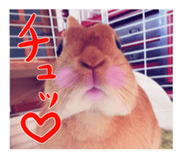 USAKO THE RABBIT Photo sticker #13642873
