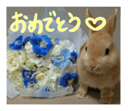 USAKO THE RABBIT Photo sticker #13642875
