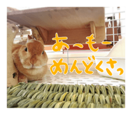 USAKO THE RABBIT Photo sticker #13642886