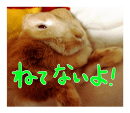 USAKO THE RABBIT Photo sticker #13642888