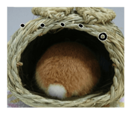 USAKO THE RABBIT Photo sticker #13642892