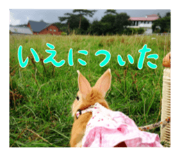 USAKO THE RABBIT Photo sticker #13642896