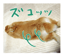 USAKO THE RABBIT Photo sticker #13642897