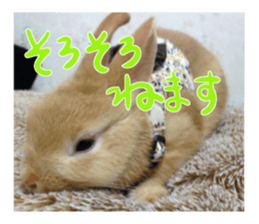 USAKO THE RABBIT Photo sticker #13642906