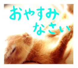 USAKO THE RABBIT Photo sticker #13642907