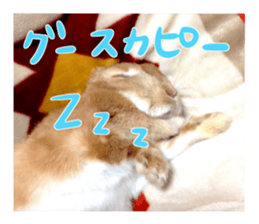 USAKO THE RABBIT Photo sticker #13642908