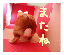 USAKO THE RABBIT Photo sticker #13642909