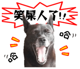 A black album sticker #13644118