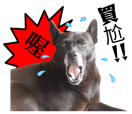 A black album sticker #13644119