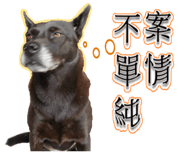 A black album sticker #13644121