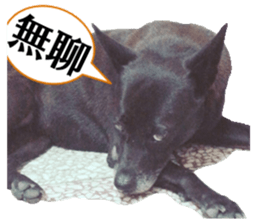 A black album sticker #13644125