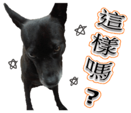 A black album sticker #13644131