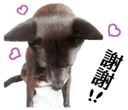 A black album sticker #13644132