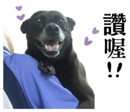 A black album sticker #13644133