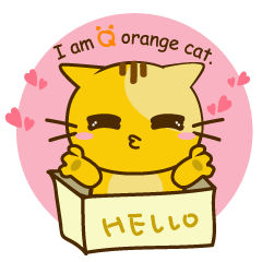 Q orange kitten