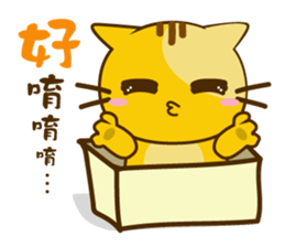 Q orange kitten sticker #13644895