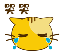 Q orange kitten sticker #13644899