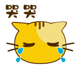 Q orange kitten sticker #13644899