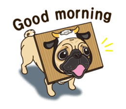 A sticker willingly. Pug 2 (English) sticker #13645399