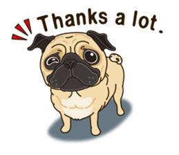 A sticker willingly. Pug 2 (English) sticker #13645406