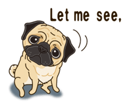 A sticker willingly. Pug 2 (English) sticker #13645409