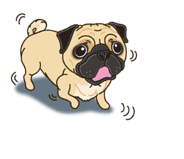 A sticker willingly. Pug 2 (English) sticker #13645415